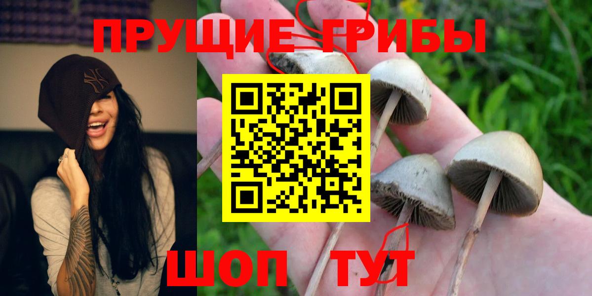 Ногинск  Галлюциногенные грибы Magic Shrooms  Вход с VPN 
