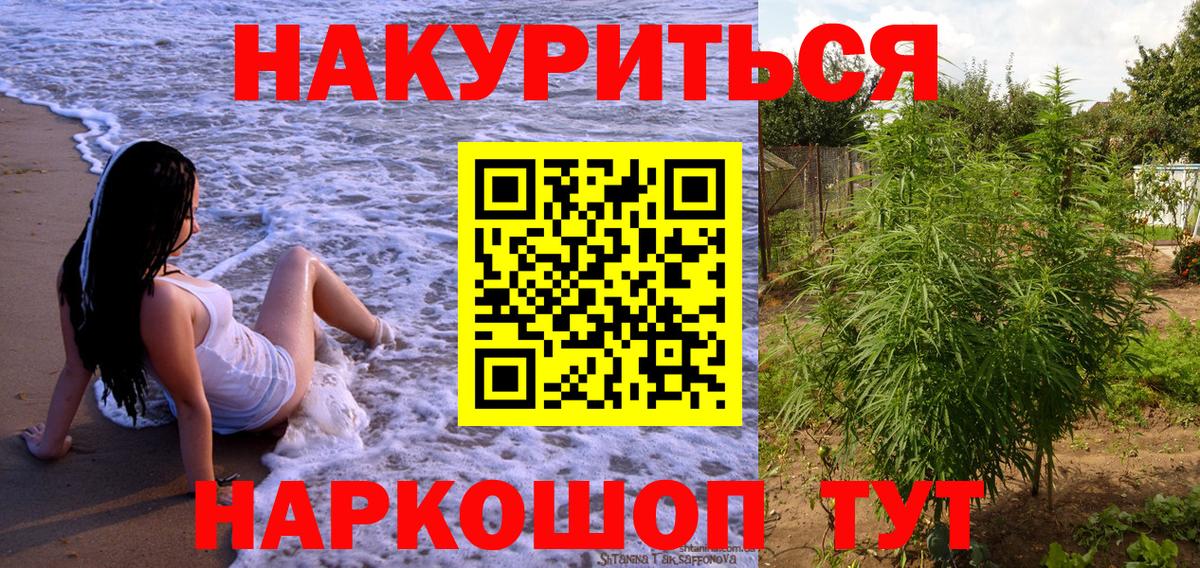 Конопля гибрид  Вход с VPN  Марихуана White Widow  Ногинск  Канабис VHQ 